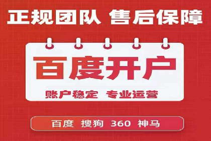 行业领先的SEM竞价广告投放案例